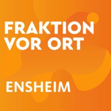 Fraktion vor Ort - Ensheim